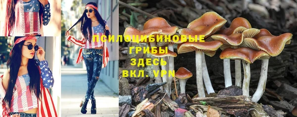 амф Алексеевка