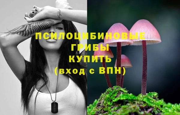 МДПВ Алексин