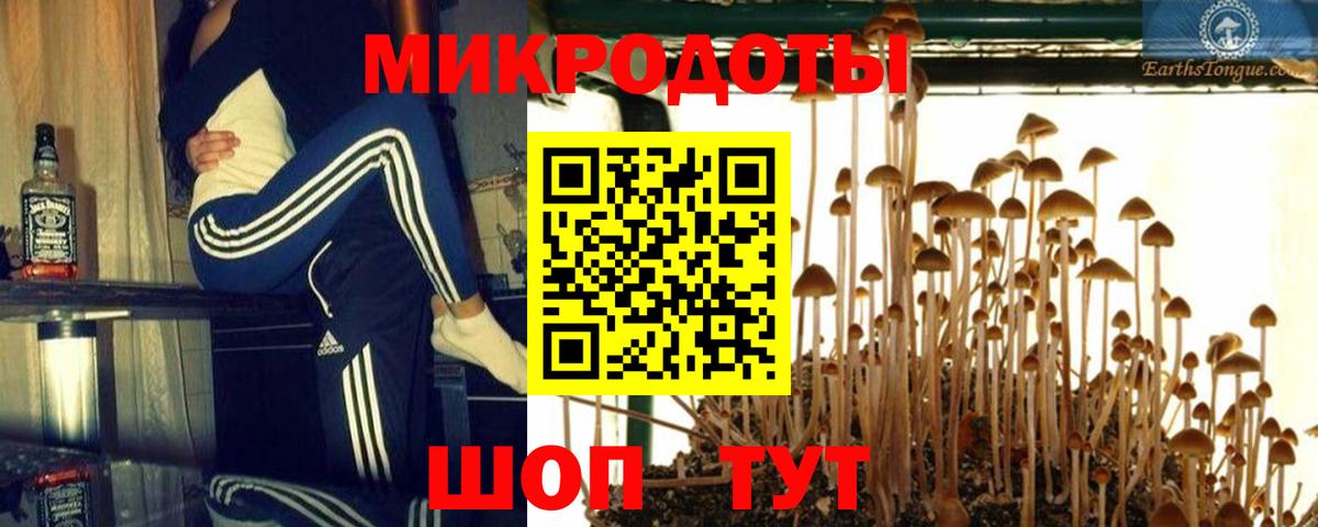 Псилоцибиновые грибы ЛСД  Вход с VPN  Тайшет 