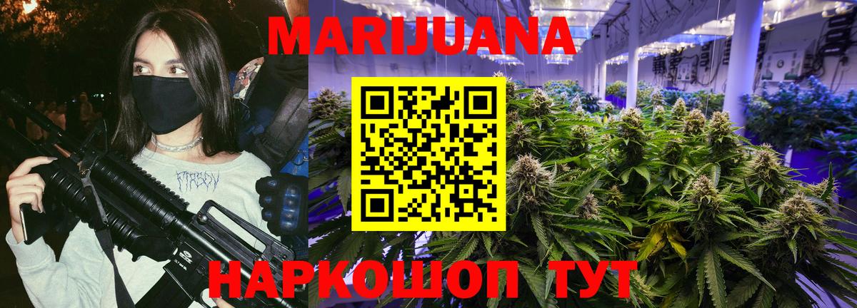 Канабис планчик Тайшет